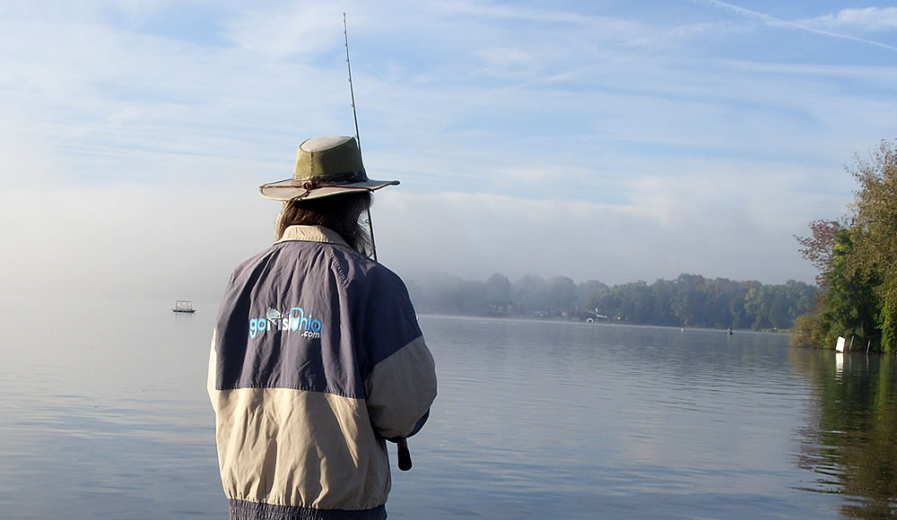 Read more about the article Look for Birds – Mike Iaconelli