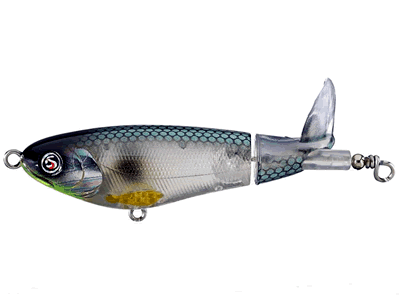 Topwater Bass Fishing - All Pro Fishing